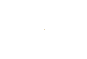 Liszt Restaurant Logo